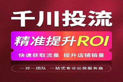 SEM代理服务：助力企业精准营销案例解析